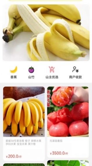 天蕉云果app