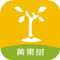 黄果树种植资讯app手机版 v1.1