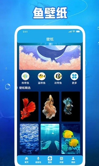 养鱼小高手壁纸app