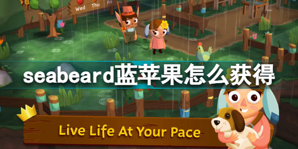 seabeard蓝苹果在哪 seabeard蓝苹果怎么获得