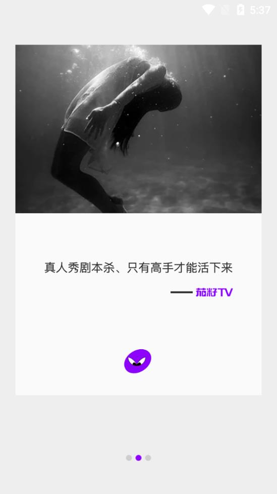 茄籽tv