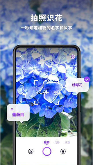 趣扫app 