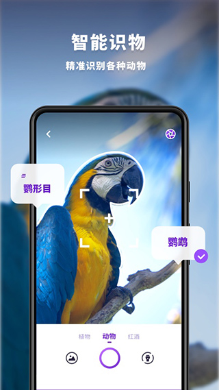 趣扫app 