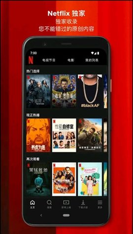 网飞netflix